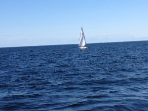 IMG_1358